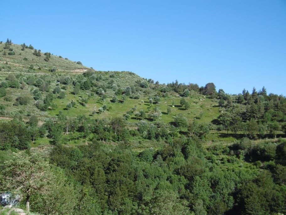 Pereyres Gite De Noe Au Ray-Pic מראה חיצוני תמונה